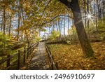 A cozy autumn view of a wooden boardwalk flanked by tall trees in Puckoriu atodanga in Pavilniai Regional Park