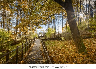 A cozy autumn view of a wooden boardwalk flanked by tall trees in Puckoriu atodanga in Pavilniai Regional Park's in Vilnius, Lithuania - Powered by Shutterstock