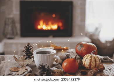 Cozy autumn. Warm cup of tea, pumpkins, autumn leaves, cones, cozy scarf on rustic wooden table on background of fireplace in farmhouse. Comfort fall in rural home. Happy Thanksgiving - Shutterstock ID 2336492379