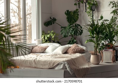 Cozy bright bedroom with indoor plants.Home interior design.Biophilia design,urban jungle concept.