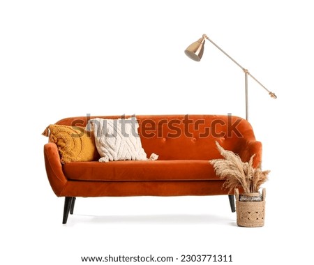 Cozy brown sofa, lamp and vase with pampas grass isolated on white background