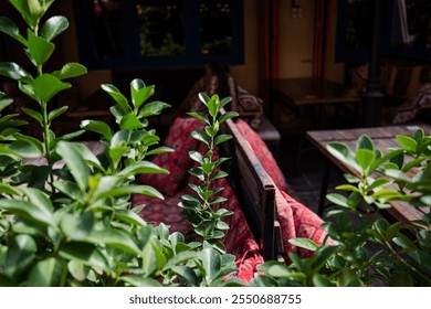 Cozy cafe corner with wooden tables and traditional red-patterned textiles, surrounded by green plants, creating a warm and inviting outdoor seating area in a charming urban setting. - Powered by Shutterstock