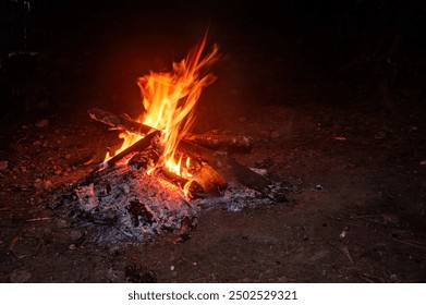 A cozy campfire crackles and glows in the darkness, casting warm light on the surrounding forest. - Powered by Shutterstock