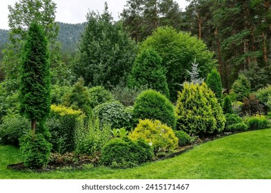 Cozy corner of summer garden in mountain where mixed different deciduous and coniferous plants with various textures and colors of foliage. Landscaping or horticulture, gardening concept - Powered by Shutterstock