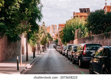 Cozy Empty Green Barcelona Street With Lot Of Cars Parked On The One Side And Pedestrian Road On Other Side With Infrastructure Buildings Downside And Blue Sky 