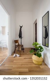 Cozy entry room with wooden floor and decorative plant in pot basket