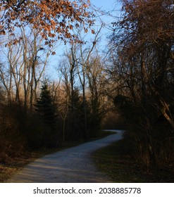 Cozy Fall Photo Of Walking Path In Nature.