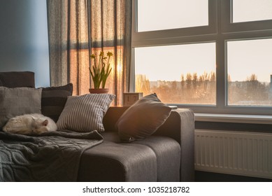 Cozy Family Room With Brown Couch, Sleeping Cat And Large Windows Showing  Winter Landscape On Sunset
