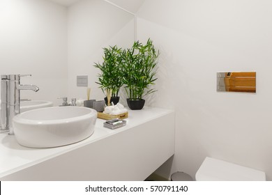 A cozy, fresh and clean modern bathroom - Shutterstock ID 570791140