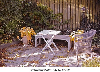 Cozy garden area for coffee and reading. Old wooden and forgotten furniture in a stone patio outdoors with copy space. Private location to relax and enjoy alone time in warm summer weather outside