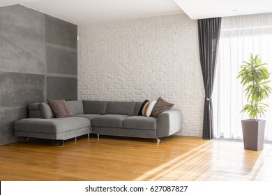 Cozy, Grey Living Room With Sofa, Wood Floor Panels, Plant