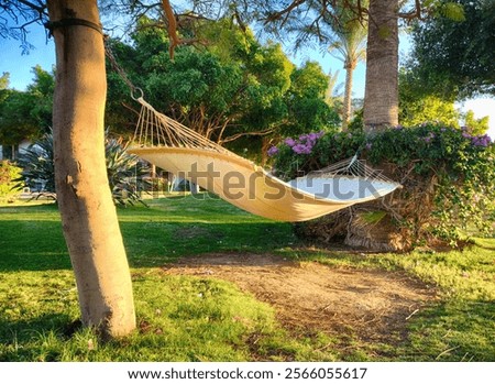 Cozy hammock hanging between two trees in a lush tropical garden. Surrounded by greenery and flowers, the scene is illuminated by warm sunlight, creating a tranquil and relaxing atmosphere