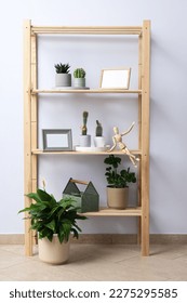 Cozy hobby - growing indoor plants at home - Shutterstock ID 2275295585