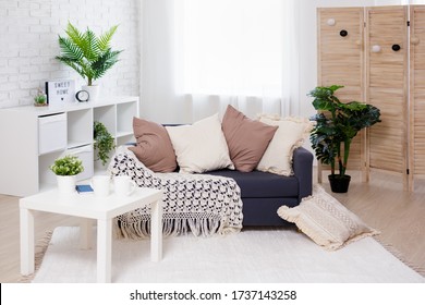 Cozy Home Background - Bright Living Room Interior With Sofa, Table, Folding Screen And Plant Pots