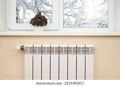 A cozy home interior with a white radiator under a windowsill featuring a potted plant, while snow-covered branches are visible outside, symbolizing warmth and comfort during winter.