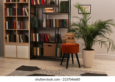 Cozy Home Library Interior With Collection Of Different Books On Shelves And Beautiful Houseplant