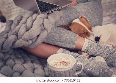 Cozy Home, Warm Blanket, Hot Drink, Movie Night. Dog Sleeping On Female Feet. Relax, Carefree, Comfort Lifestyle.