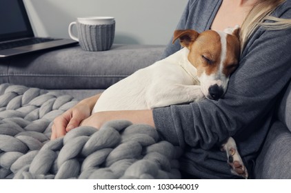 Gemütliches Zuhause, mit warmer Decke bedeckte Frau, die einen Film guckt, umarmt schlafenden Hund. Entspannen Sie sich, sorgenfrei und komfortabel im Lifestyle.