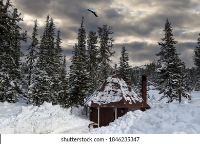 A Cozy House For Barbecue And Outdoor Recreation In Winter Coniferous Forest. The Barbecue Place Is Covered With Deep Snowdrifts. Concept Background Of Friendly Weekend And Family Holidays On Nature