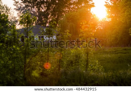 Similar – #A0# Garten mit Sonne