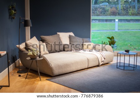 cozy inteligent grey sofa placed by french window cold color scheme