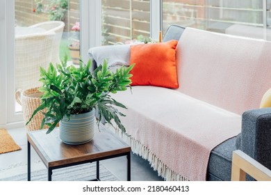 Cozy, light conservatory interior design with gray sofa decorated with bright textile cover and cushions and many green house plants. Hygge home interior design. Biophilic lifestyle. Selective focus. - Shutterstock ID 2180460413