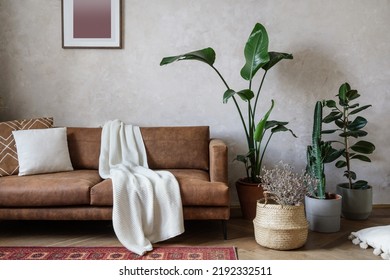 Cozy living room in loft style apartment. Eco leather comfortable sofa with cushion and bed throw. Sofa standing near potted house plants and boho chic decor