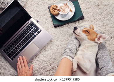 Cozy Mood, Woman Working Online From Home, Using Laptop. Comfort Lifestyle.