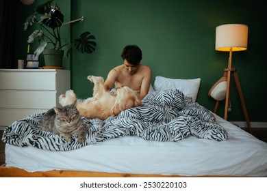 In a cozy morning scene, a young man relaxes in bed with a fluffy gray cat next to him, gently petting a golden dog. This image captures warmth and the joy of pet companionship. - Powered by Shutterstock