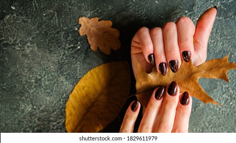 Cozy Nails Design. Autumn Leaves. Place For Text. Cozy Autumn Fall Concept. Trendy Manicure.