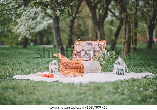 
a cozy picnic in nature, in the park, a summer
picnic in the countryside,
picnic basket, photo shoot of flowering
apple trees
