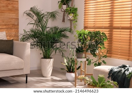 Image, Stock Photo Green potted plant near shabby brick wall