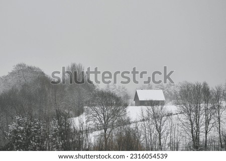 Cozy rural cottage. Forest landscape with small, cozy, rural cottage house far away. Remote house in the countryside.