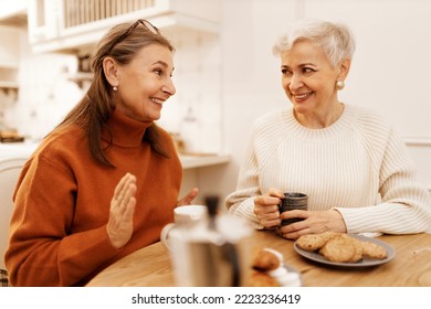 Cozy scene of two old friends having nice chat at cafe, enjoying tea or coffee, discussing latest news. Cheerful senior female telling interesting story during breakfast with her stylish female friend - Powered by Shutterstock