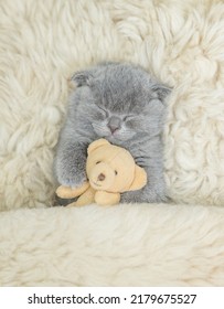 Cozy Tiny Kitten Sleeps With Favorite Toy Bear Under Warm Blanket On A Bed At Home. Top Down View