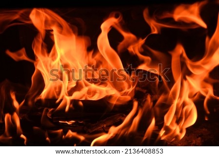 Similar – Bonfire Night Fire Wood