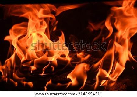 Similar – Bonfire Night Fire Wood