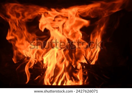 Similar – Bonfire Night Fire Wood