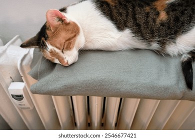 Cozy Winter Comfort: Adorable calico cat sleeping peacefully with closed eyes on a soft blanket, basking in the warmth of central heating. Perfect winter scene of tranquility and relaxation at home. - Powered by Shutterstock