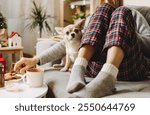 Cozy woman in knitted winter warm socks and sweater and checkered pajama eating cookies with dog, during resting on couch at home in Christmas holidays. Winter hot drink mug of cocoa or coffee