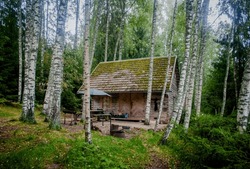 A Cozy Wooden Cabin Tucked Away In A Serene Birch Forest