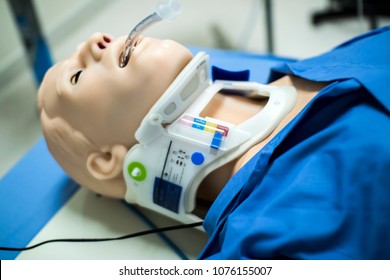 CPR SIMULATOR / AIRWAY MANAGEMENT / WHOLE BODY