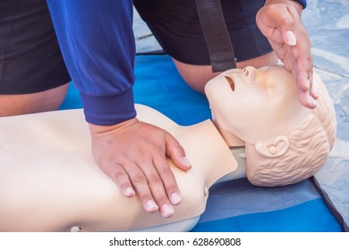 Cpr Training Chest Compression Dummy Basic Life Support