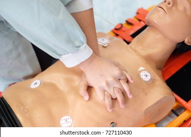 Cpr Training With Model : Hands Placement