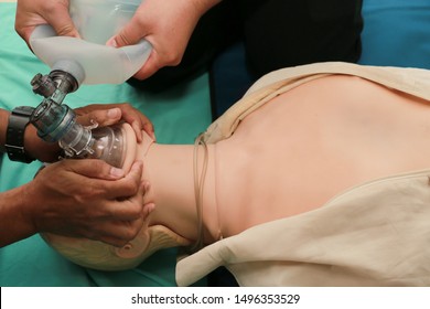 CPR training using and an AED and bag mask valve on an adult training manikin.Healthcare Concept - Powered by Shutterstock