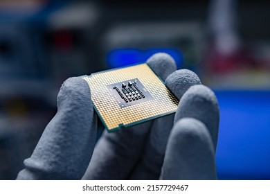 A CPU With Clean, Golden Contacts Held In The Hand With Some ESD Gloves