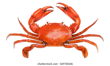 Crab