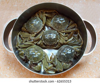 Crab