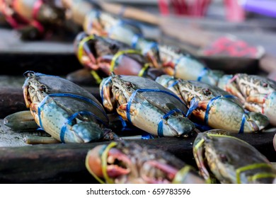 crab