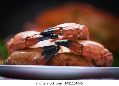 Crab Claw Cooked Boiled On Plate Served Seafood Close Up / Red Stone Crabs 